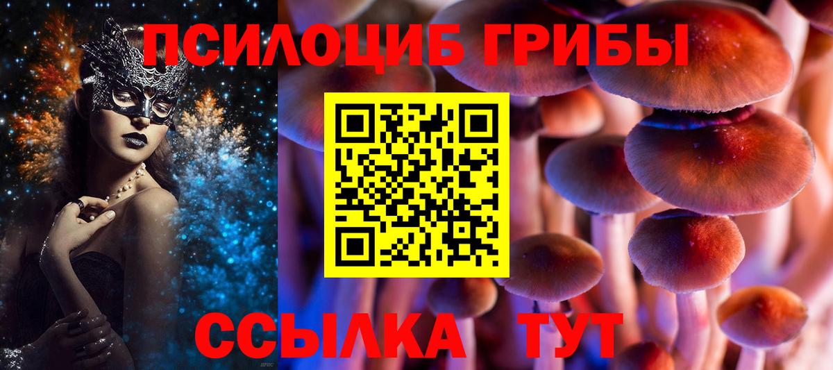 Старая Купавна  Псилоцибиновые грибы мицелий  Псилоцибиновые грибы MAGIC MUSHROOMS  Вход с VPN 