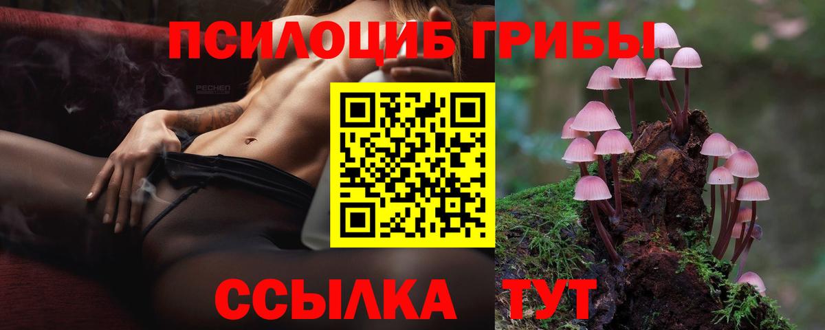 Псилоцибиновые грибы Psilocybe Старая Купавна